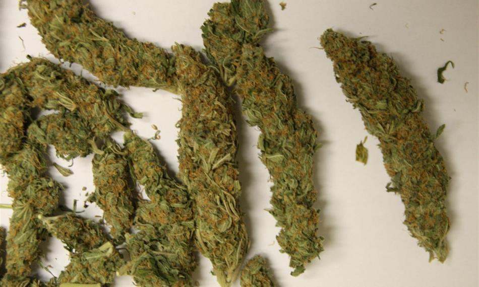 2013-8-9-952droga detail.JPG